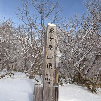 今年もよろしくお願いしまーすꉂ🤗⭐️〰️🎶