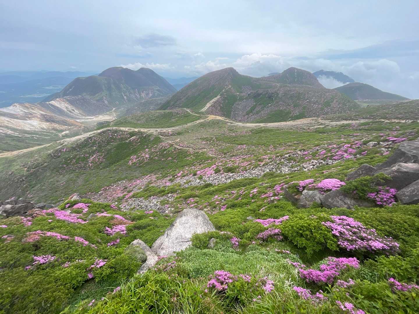 中岳
天狗ヶ城
三俣山
白口岳
オールピンク