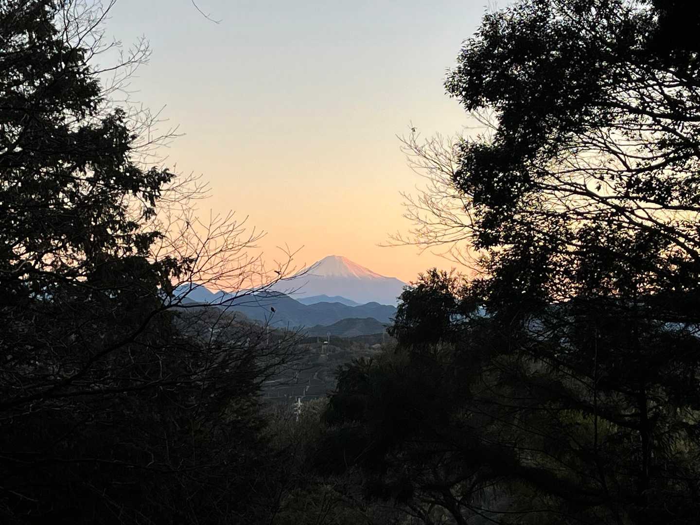 地蔵山 往復コースの写真