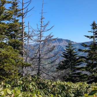 横手山。お釜に行きたかったけど、通行止めで断念。