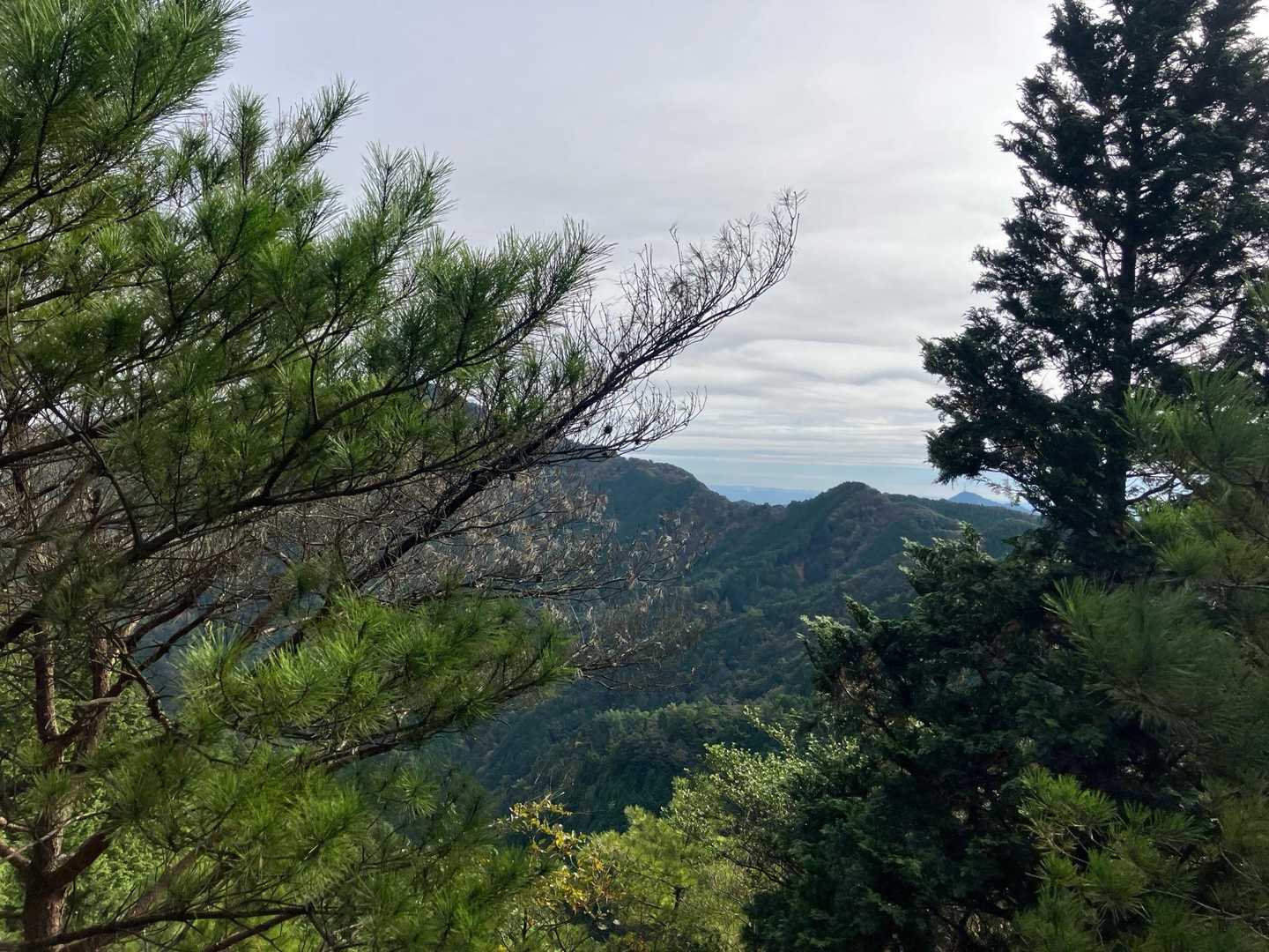 忍者岳-那須ヶ原山-ゾロ峠 往復コースの写真