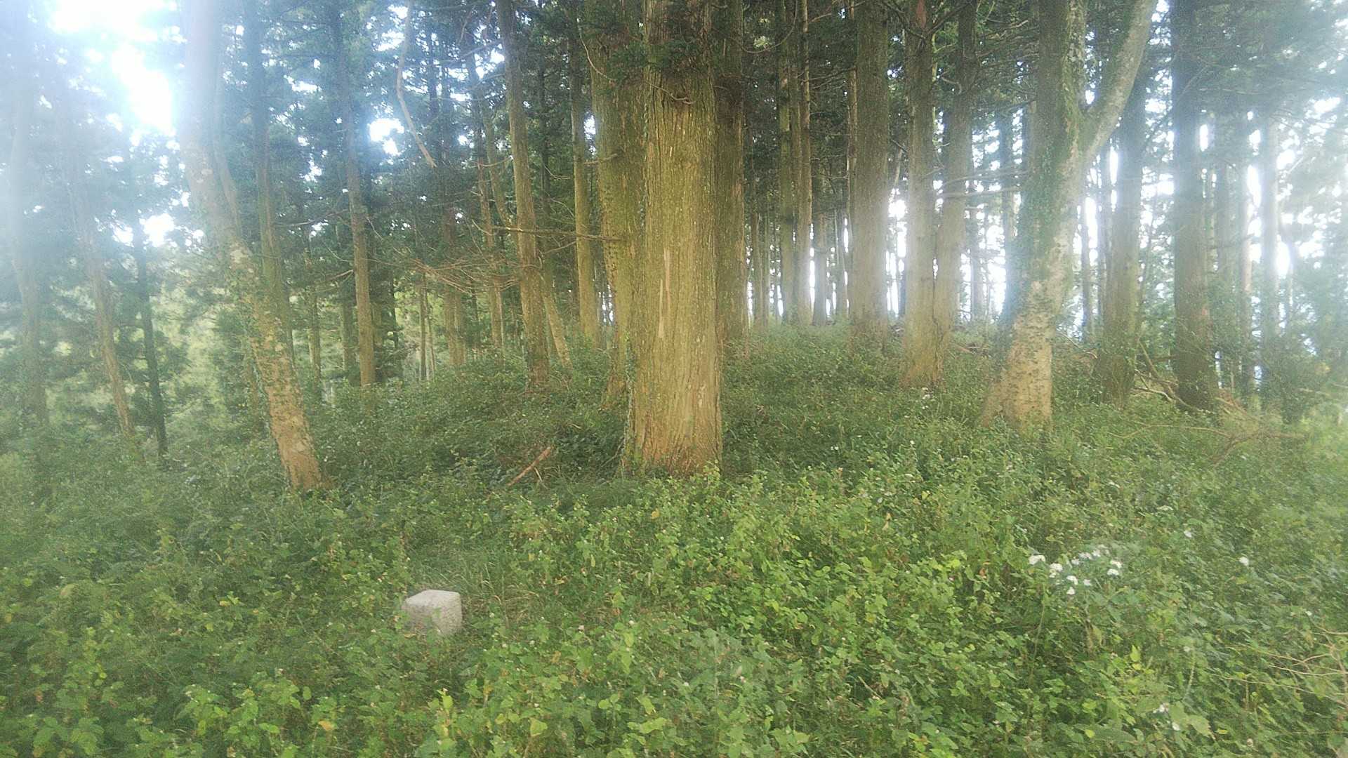 伊良尾山山頂着✌️