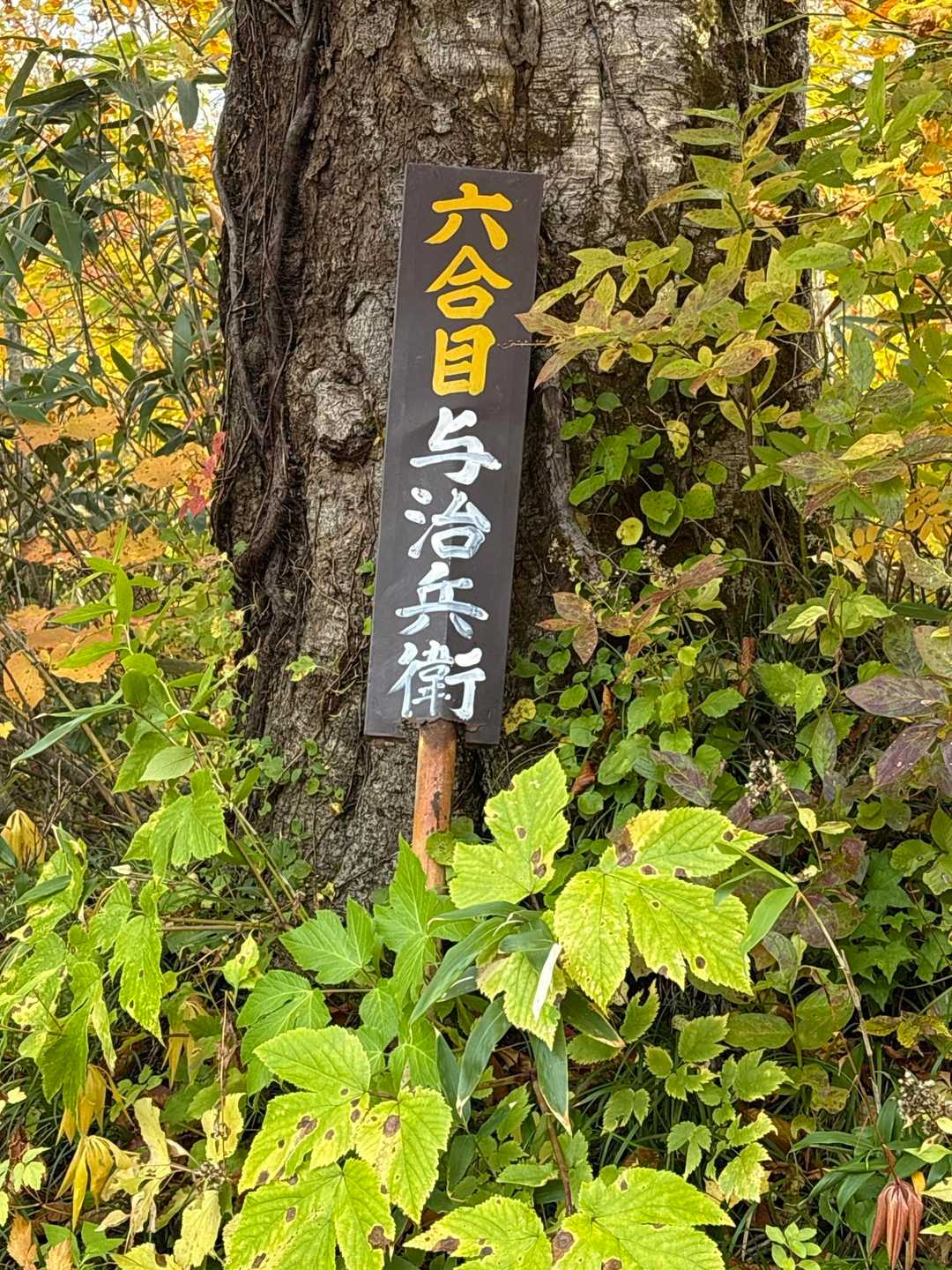 6合目6️⃣あれ？5合目あったかな🤔