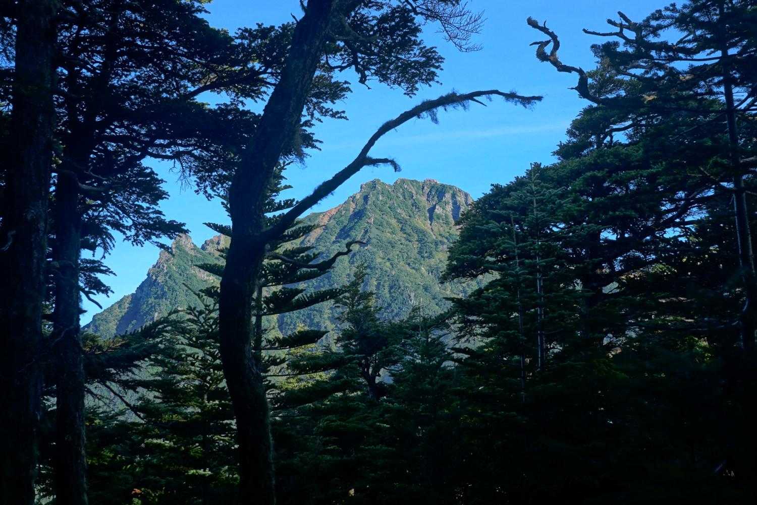折角来たなら赤岳が見える場所まで
扇山までは登りました