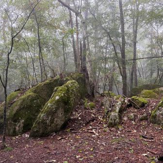 この山は大きな岩があちらこちらに