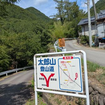 表参道、裏参道の分岐到着して