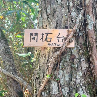 開拓台にも山頂標識が🤭