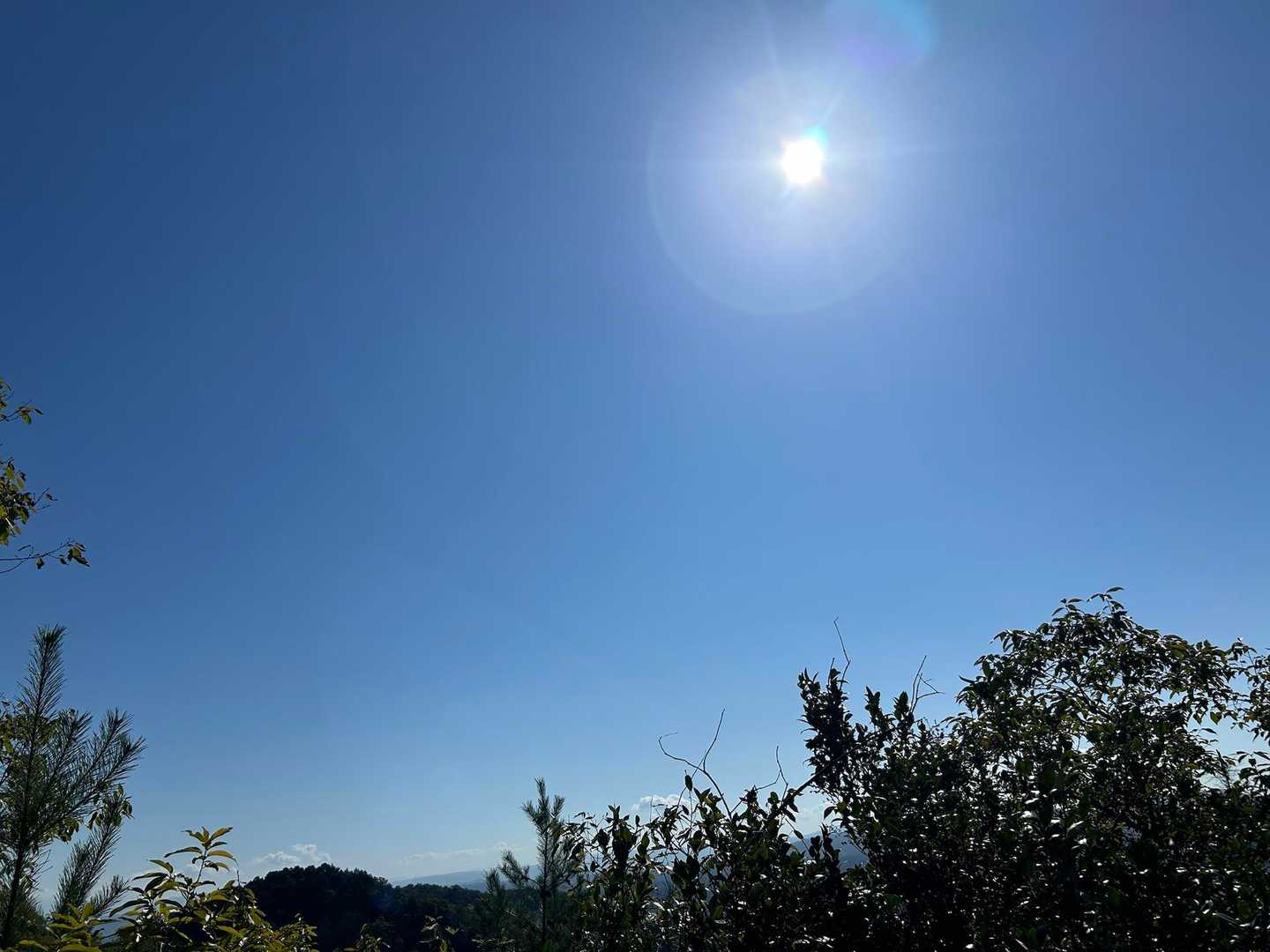 いい天気☀️