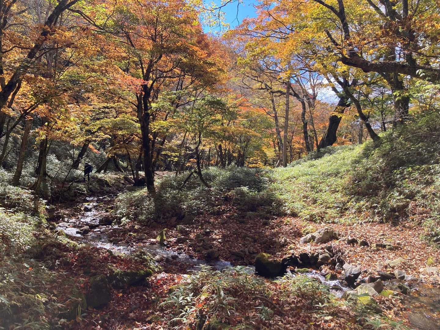 帰りも沢と紅葉が綺麗