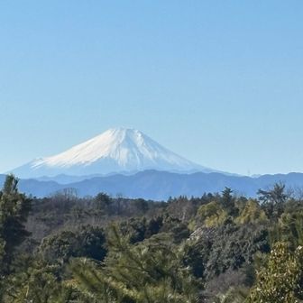 荒幡の富士からの富士山。