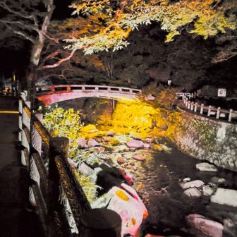 夜景モード①
同じ場所で