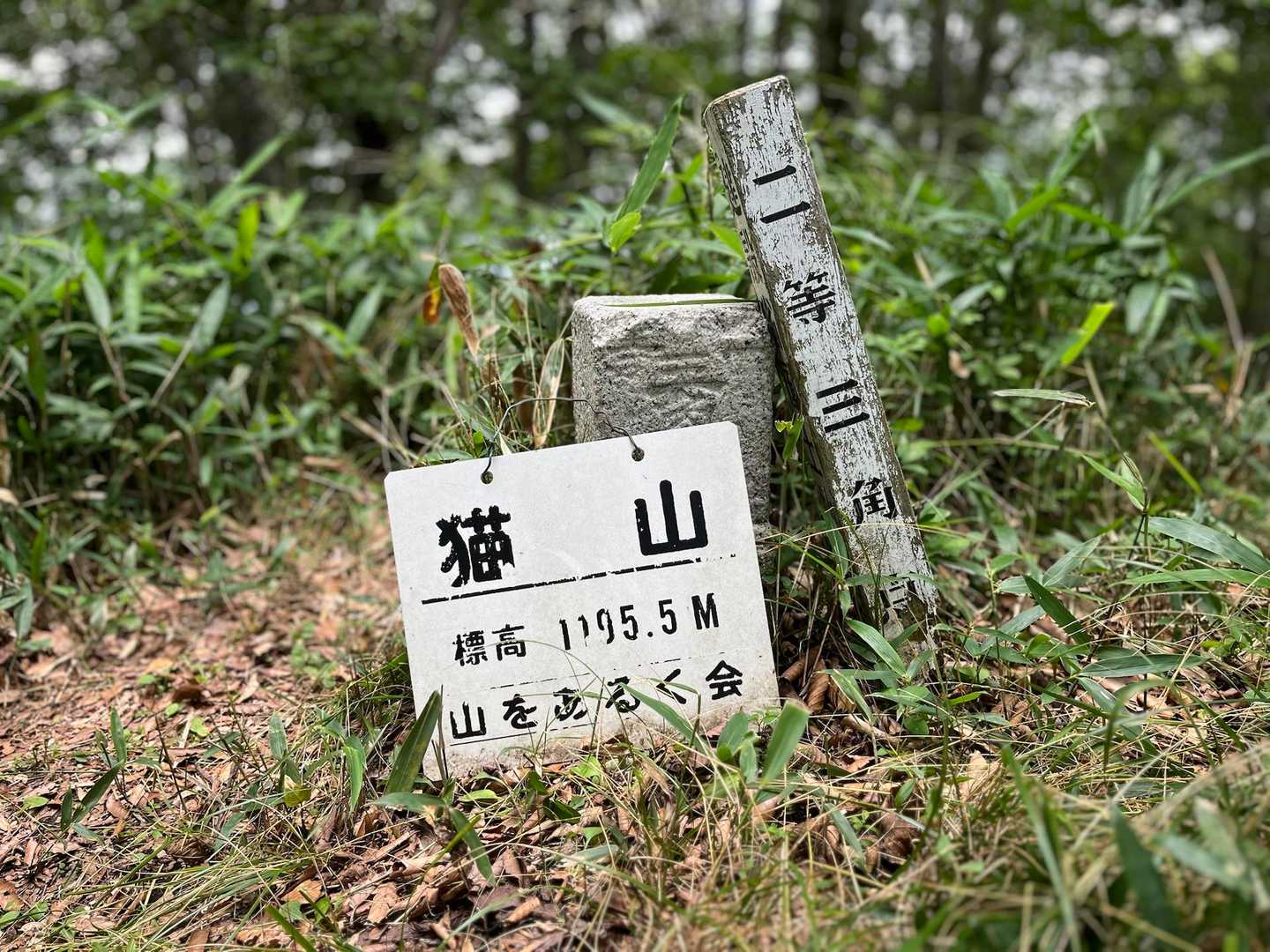 到着
ピークからの眺望は無し