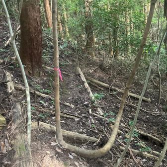 ‥4番通りを通って！
