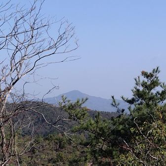 嵯峨富士から長刀山に向かう途中で比叡山も見えました