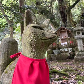 　吽🦊