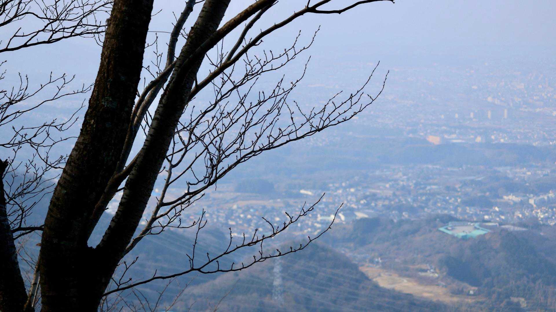 上ノ池横登山口-銀峰-出逢いの広場-二上山-第二十六経塚「 往復コースの写真