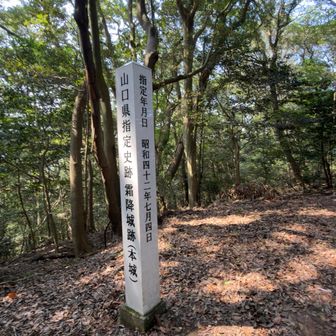 霜降城（本城）この辺からとにかくメマトイが凄まじく、目に飛び込んでくるわ鼻の穴に入りそうになるわで顔を手で覆いながら逃げるように移動🏃‍➡️
写真撮る余裕ありません🤣