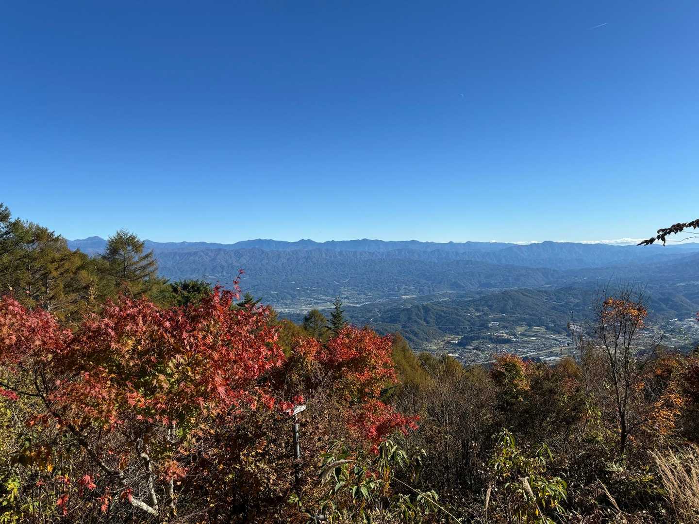 まだまだ見ていたいけど見納め
