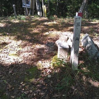岩伏山山頂
岩伏山は道迷いに急登で結構疲れました!