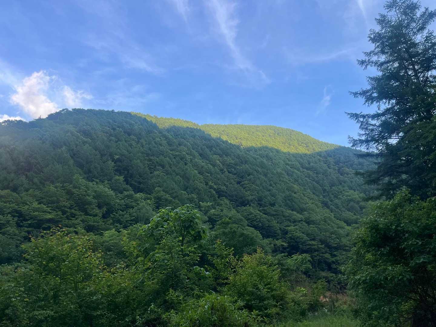 今から登るよー