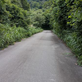 長い林道を歩いて🚶
駐車場まで戻るか🤔

悩んだあげく