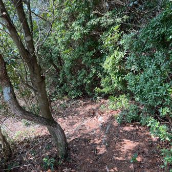 近いと思ったら