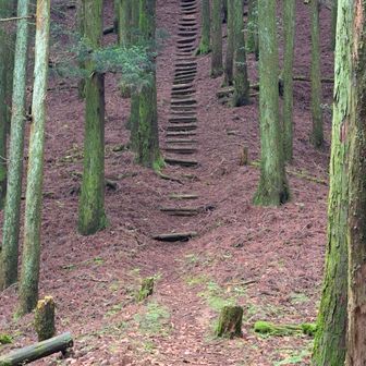 江川岳、次はショートカットするかな😅