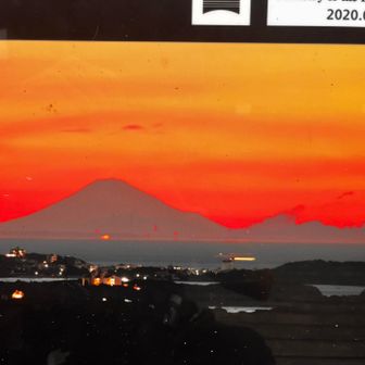 富士山見えた
（案内板引用）
