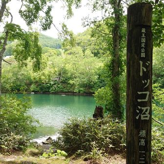 水が澄んでる💚