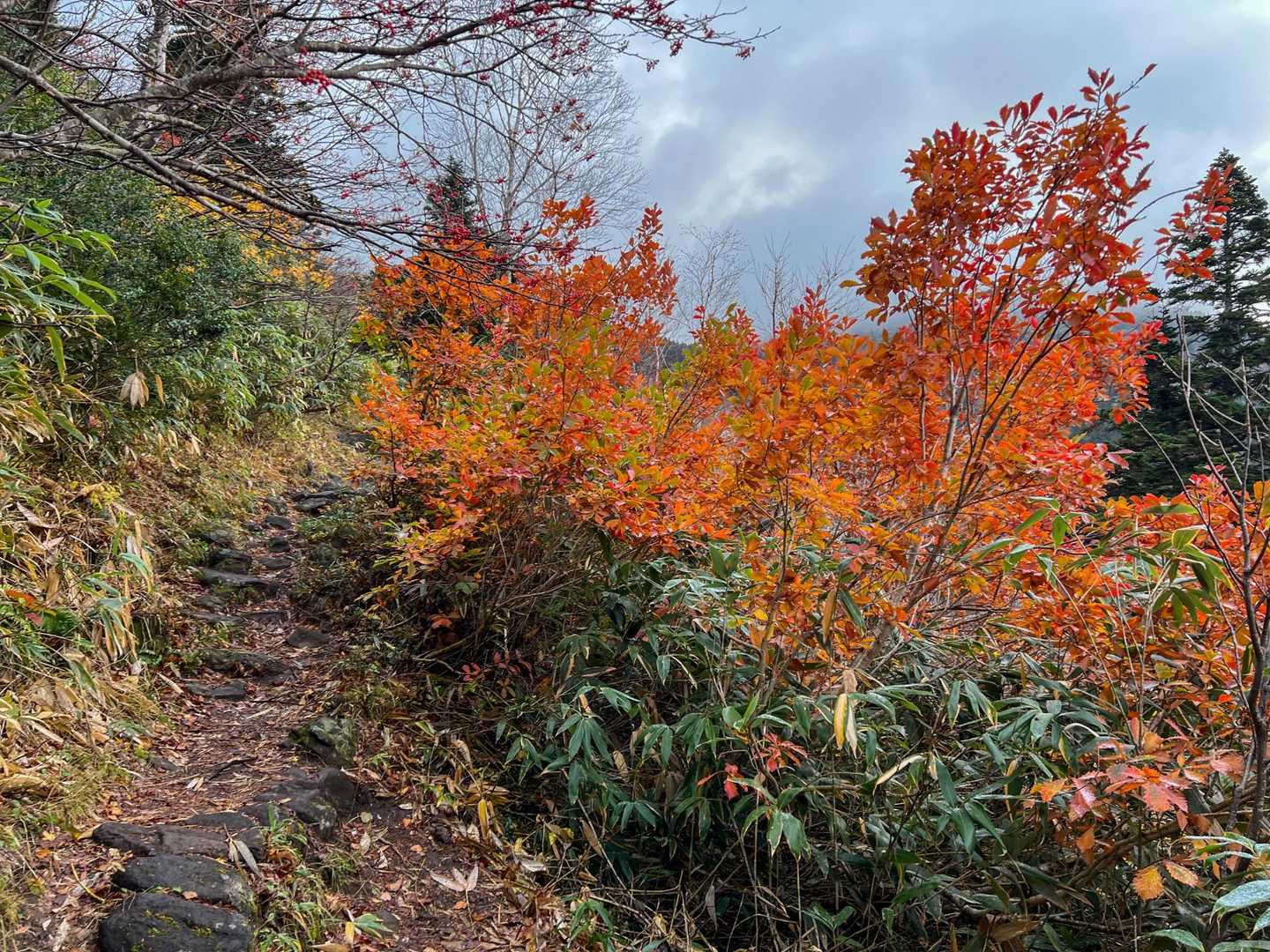八甲田大岳登山口（酸ヶ湯）-八甲田山 往復コースの写真