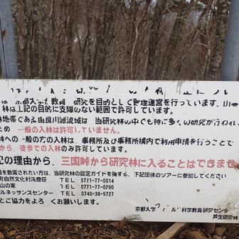 京都大学 芦生研究林に入るな⛔と書いてある👀
※最初見たときアラビア文字かと思った