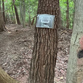 秋葉山は標識なくて、知らない間に通り過ぎてました