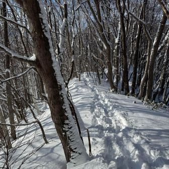 ズボズボと深く沈みました。
私が重すぎたか😂