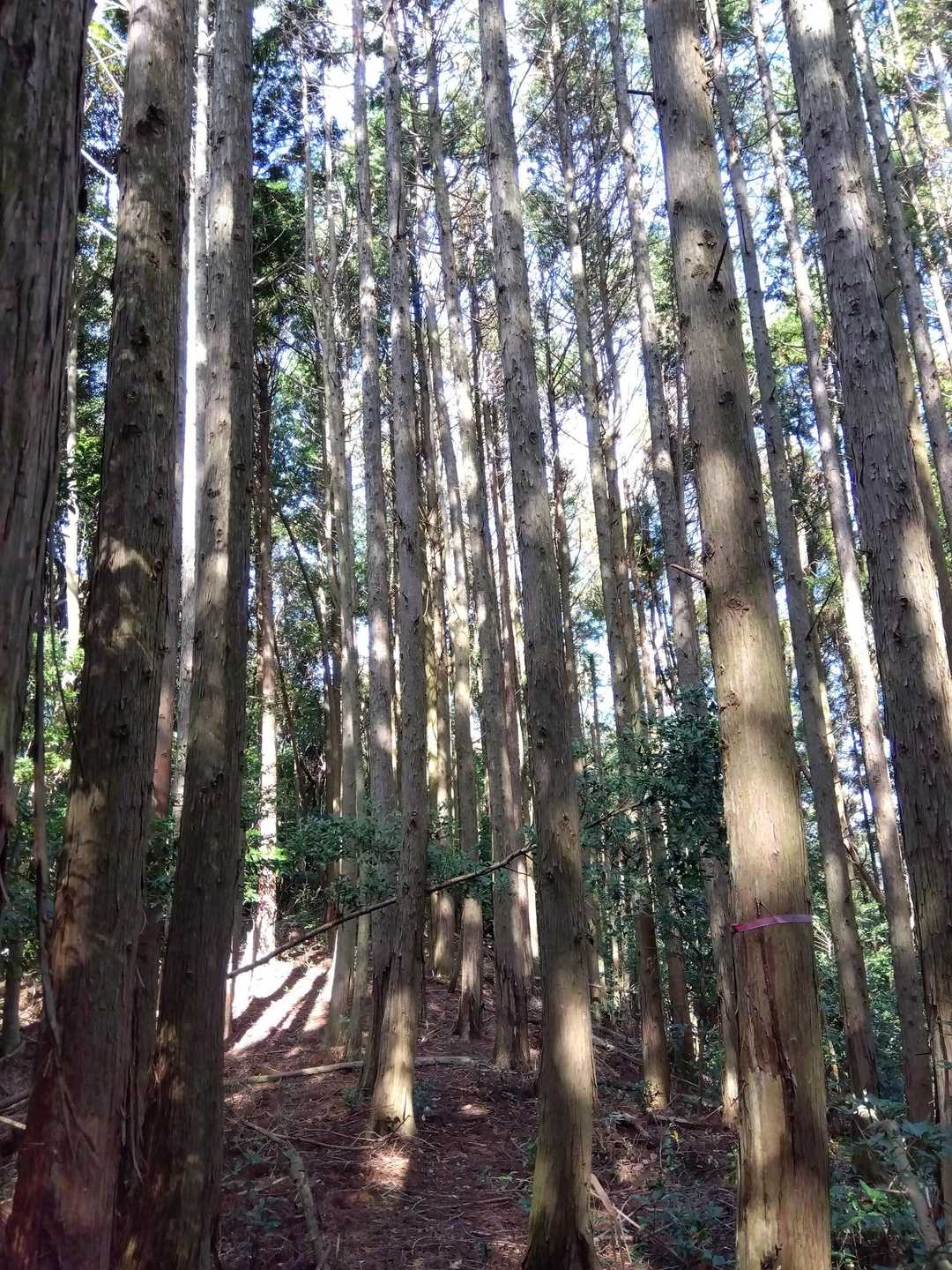 お天気最高☀