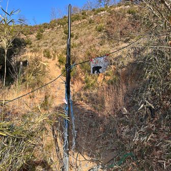 いくつかの防獣ネットを潜って進みます