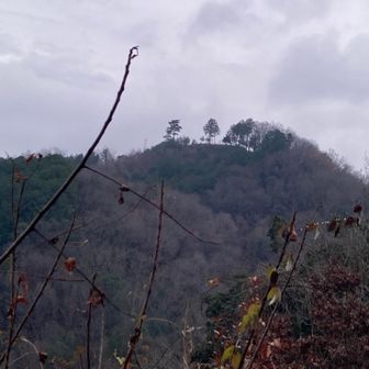 最後に龍崖山の山頂を眺めて下山