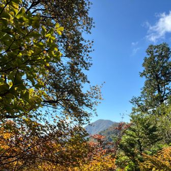 丹沢山かな…