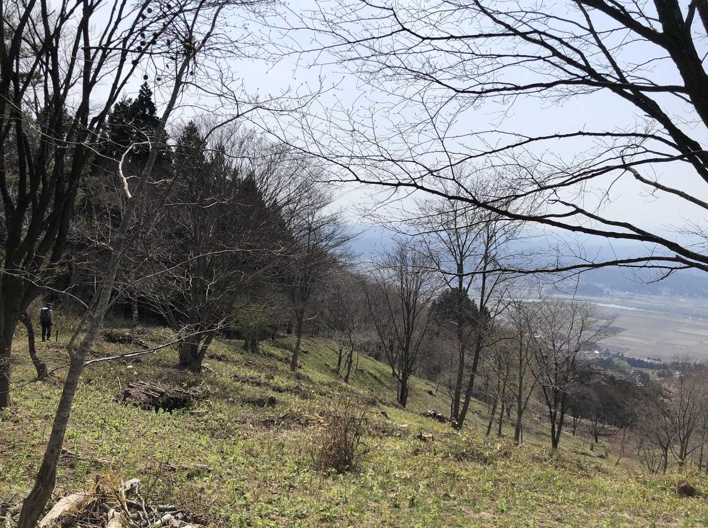 うららかロード☘️🌱🪻