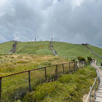 山頂付近の風景
笹原が広がっています