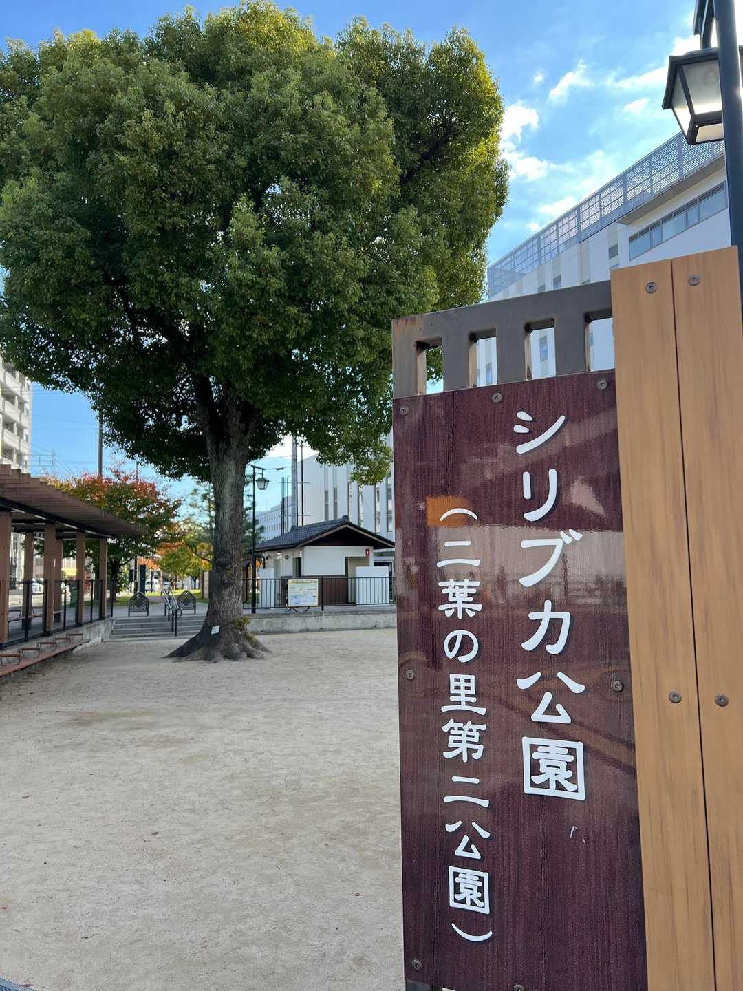 シリブカ？？？🙄