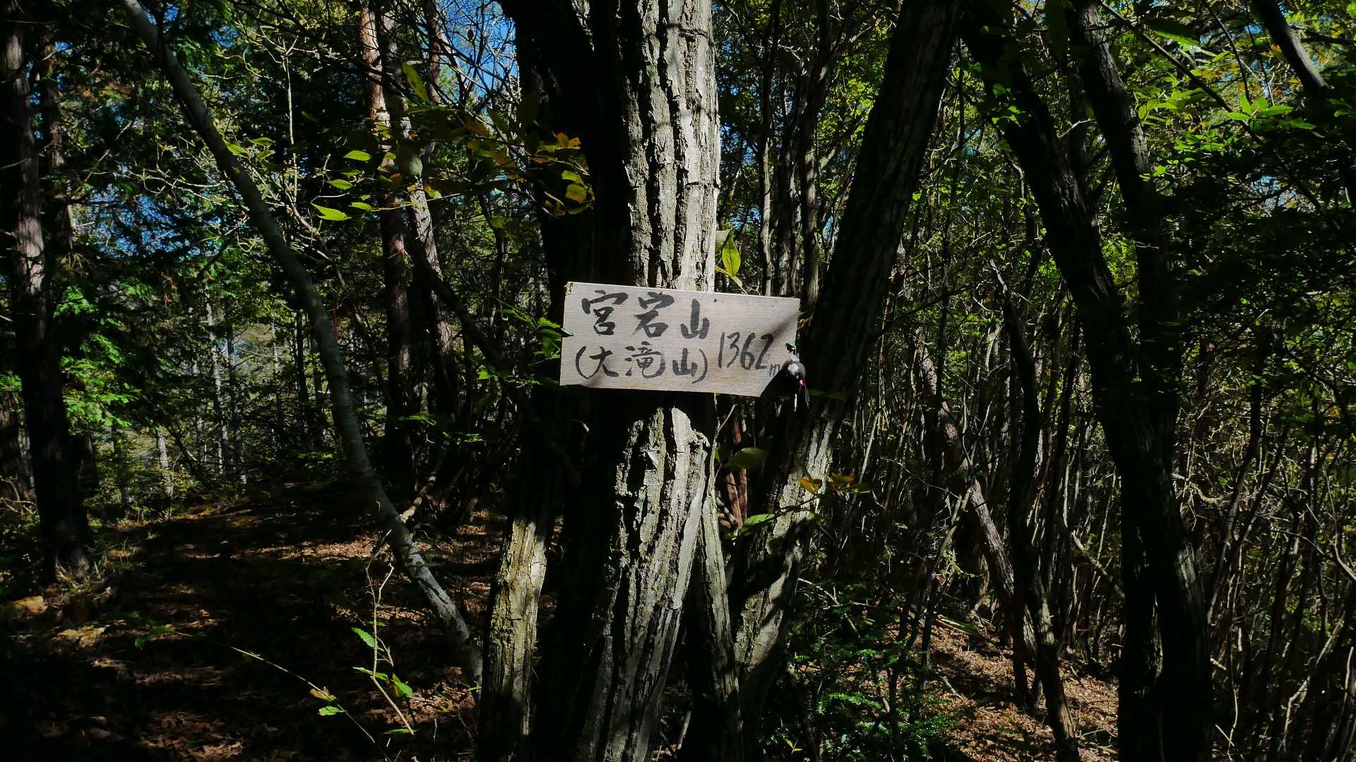宮宕山(大滝山)
