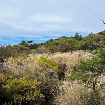 避難小屋分岐