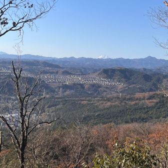 頂上からの🗻富士山