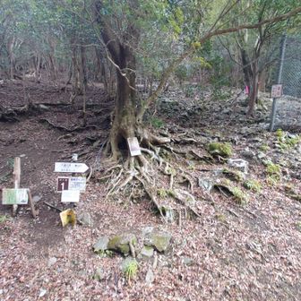 池ケ谷コースでピーク目指してVAMOS‼️
登山口の少し先にトイレと🅿️有り（キレイじゃ無いよ）