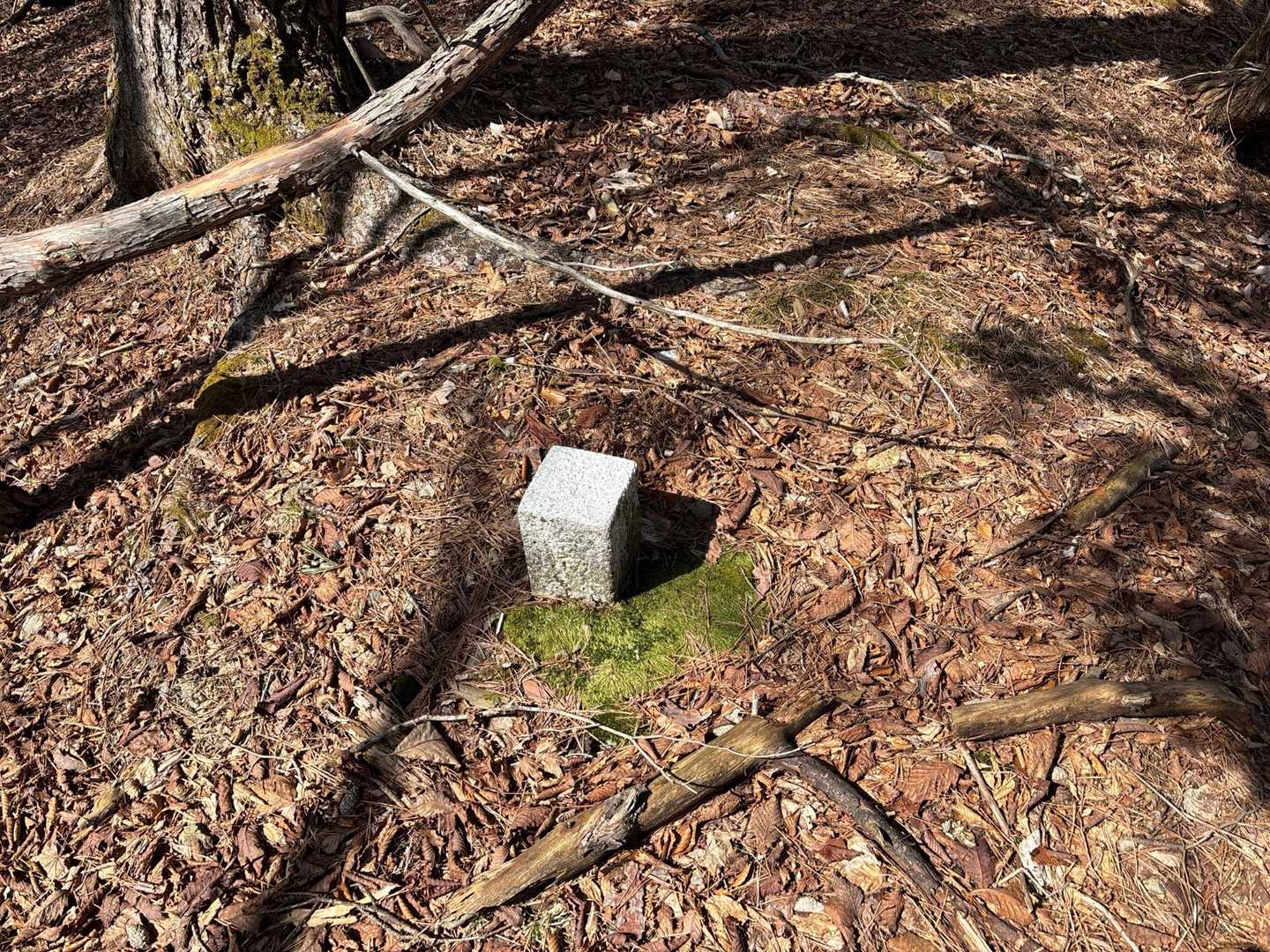 1273m地点の名無しの山の三角点かな❓