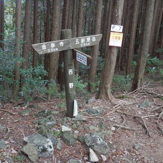 西岳から西野越へ