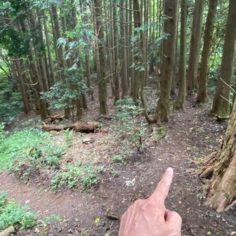わかりづら💦
オーバーランしました