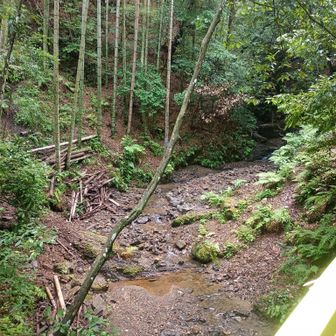 水もわずか