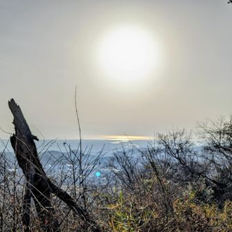 太陽☀が黄砂の影響？でぼんやりしてる