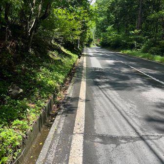 ここからロードで駐車場🅿️まで戻ります🚶‍♀️